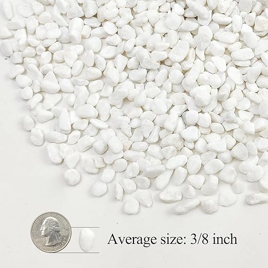 white pebbles for succulents 20lbs White Pebbles for Landscaping, 3/8inch Small Rocks for Gardening –  Grow It Depot