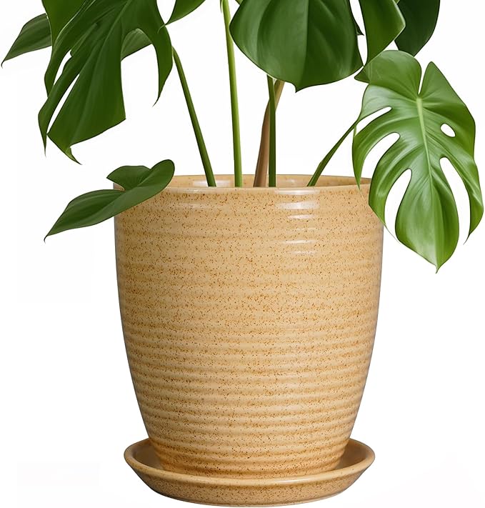 8 inch indoor planter with drainage Pot for Plants 8 Inch