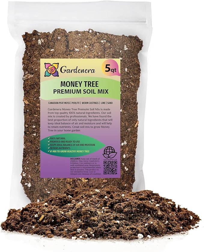 best potting mix for lime tree Money Tree Potting Soil, Soil Mix for Planting or Repotting Guiana Che –  Grow It Depot