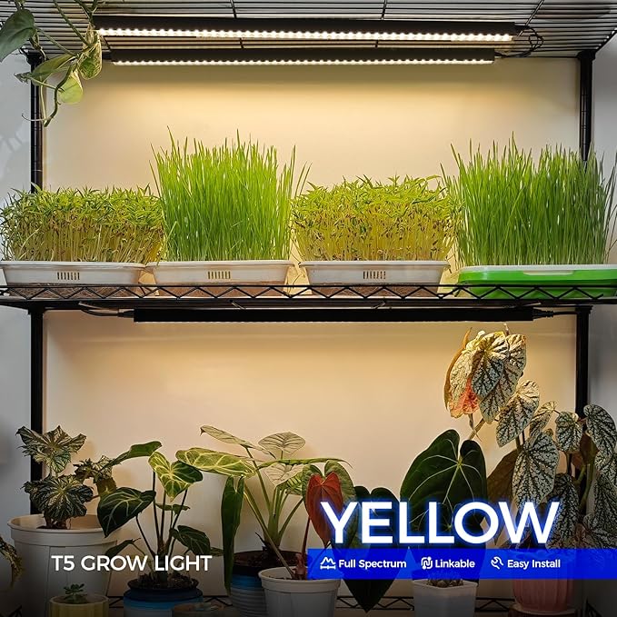 magnetic grow lights for indoor plants Barrina T5 Grow Lights for Indoor Plants, 2FT 40W (4 X 10W) Magnetic I – Grow It Depot