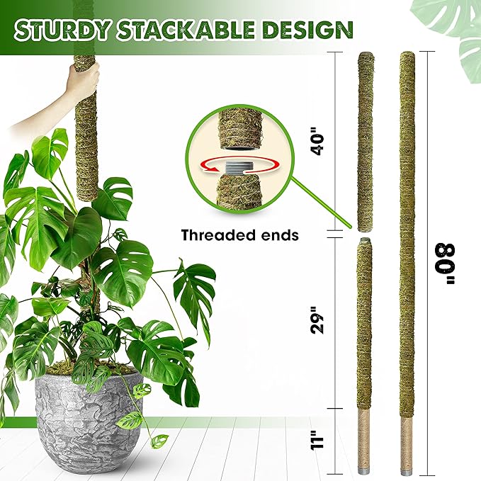 duspro moss pole DUSPRO 80 Inches Large Moss Pole for Plants Monstera, Plant Stakes for –  Grow It Depot