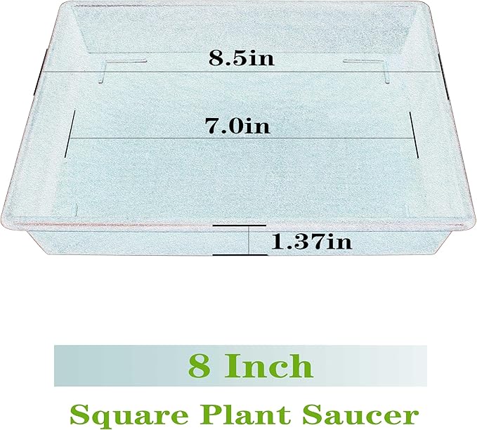 Square Plant Saucer 8 Inch 2 Pack 6 8 10 12 14 16 18 20 Inch, Plant Tr –  Grow It Depot