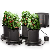 Spider Farmer 4 Self-watering System Kits