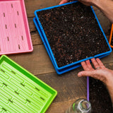 1010 Shallow Seed Trays