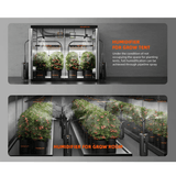 Spider Farmer Cool Mist Humidifier 16L