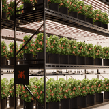 Spider Farmer G1000W 1000W Dimmable Full Spectrum CO2 LED Grow Light
