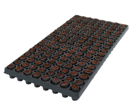 144CT OASIS® Fertiss® PlugTray FL Pallet (20X38mm) 344/PLT (49536)