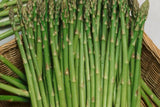 Asparagus Mary Washington 1 Gram Seeds - Heirloom Non-GMO Variety for Perennial Vegetable Gardening - Tender & Delicious Stalks