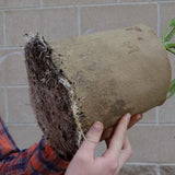 AquaMat Capillary Irrigation Systems