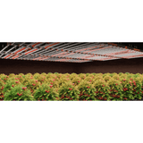 Spider Farmer GlowR40 40W 660nm Supplemental Deep Red LED Grow Light