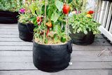 Smart Pot 15-Gallon Vegetable Planters (3 Pack)