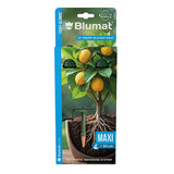 Blumat Maxi Watering Sensors – 2 Pack