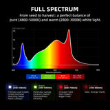 Spider Farmer G1000W x 2 LED Grow Lights + 5' x 10' Grow Tent + 6" Inline Fan Combo with Temperature and Humidity Controller + 6" Clip Fan