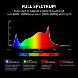 Spider Farmer G3000 LED Grow Light + 3' x 3' Grow Tent + 4" Inline Fan Combo with Temperature and Humidity Controller + 6" Clip Fan