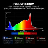 Spider Farmer G5000 x 2 LED Grow Lights + 4' x 8' Grow Tent + 6" Inline Fan Combo with Temperature and Humidity Controller + 6" Clip Fan