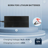 Renogy 12V 20A/24V 10A AC-to-DC LFP Portable Battery Charger