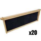 Medium 6 1/4-Inch Frame, Grooved Top / Grooved Bottom With Double Wax Foundation