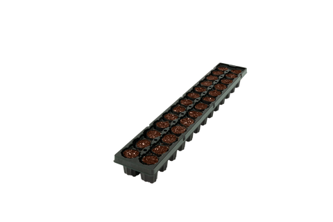 26CT OASIS® Fertiss® PlugStrip (30X40mm) 60/CS (1560)