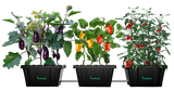 1- Self-Watering Raised Bed -  No Accessories