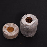 Pure Rooters - 30MM Coco Plugs/Pellets