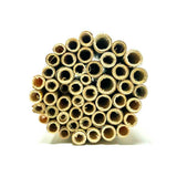 Natural Reeds for Leafcutter Bees, 6mm