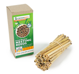 Natural Reeds for Leafcutter Bees, 6mm