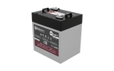 BigBattery 36V EAGLE 2 1.63 kWh LiFePO4 Battery with Heater and Comms