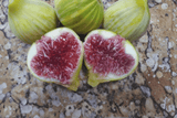 LSU Tiger Fig 2 Unrooted Hardwood Cuttings – 6–8 Inches – Ficus carica