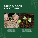 Earthshine Biochar
