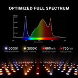 Spider Farmer SF1000 LED Grow Light + 2' x 2' Grow Tent + Inline Fan Combo with Speed Controller