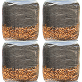 Mushroom Grow Kit - 4 Pack - All In One Mushroom Grow Bags