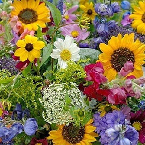 flower goddess seeds Dirt Goddess Super Seeds ~ Cut Flower Mix Seed (1/2 Lb) – Grow It Depot