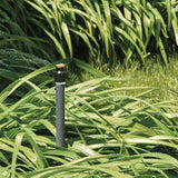 Shrub Head w/Brass Half Pattern Insert Nozzle 54039