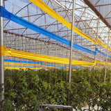 GROW1 Sticky Tape Roll Double-Sided Yellow (6in x 328ft)