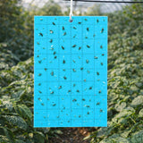 GROW1 Sticky Card Traps Blue 3" x 5" (10 Pack)