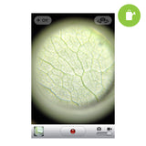 Grow1 LED Binocular Microscope w/ Iphone 4 Case