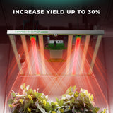 Mars Hydro Adlite UV55 UV Supplemental LED Grow Light Bar (2-Pack)