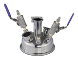 6" Pre-Built Hemispherical Lid with BVV 316SS Full Bore Valves