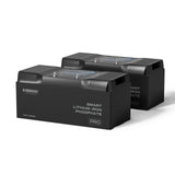 Renogy Pro - 12V 100Ah/200Ah Smart LiFePO4 Battery w/ Bluetooth & Self-Heating