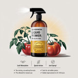 Liquid Power Pumpkin Fertilizer Spray – Ready-to-Use Liquid Plant Food Mist for Pumpkin – Premixed, Easy Application – Fast-Acting Formula for Growth, Roots & Yield – Indoor & Outdoor Use – 8 oz