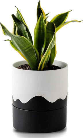 6 inch plant pots with drainage holes Nihow Self Watering Plant Pot: 6 Inch Ceramic Planter with Drainage Ho –  Grow It Depot