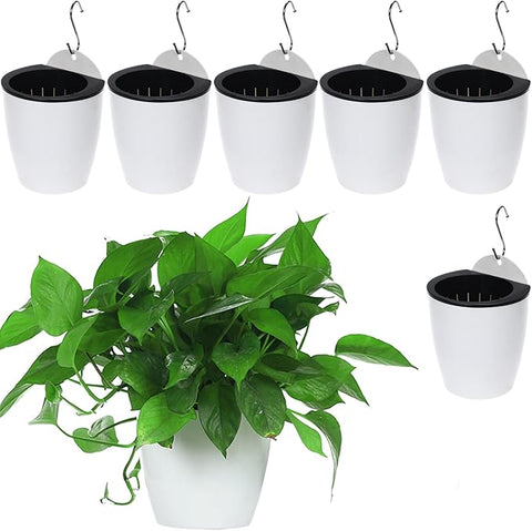 hanging pot for spider plant 6 Packs 5