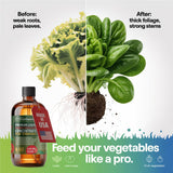 Liquid Power Pepper Fertilizer Spray – Ready-to-Use Liquid Plant Food Mist for Pepper – Premixed, Easy Application – Fast-Acting Formula for Growth, Roots & Yield – Indoor & Outdoor Use – 8 oz