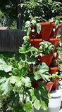 Mr. Stacky Smart Farm - Automatic Self Watering Garden - Grow Fresh Healthy Food Virtually Anywhere Year Round - Soil or Hydroponic Vertical Tower Gardening System (Standard Kit, Terracotta)