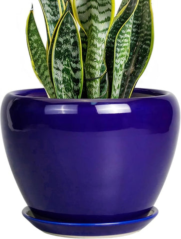 8 inch ceramic pots for plants Ceramic Plant Pot 8 Inch