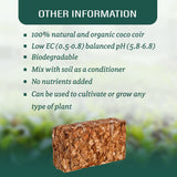 Pure Coco Chips Compressed Chips 650 grams Brick
