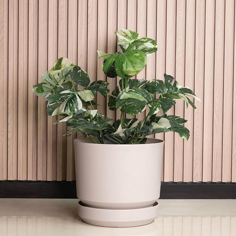 14 inch plastic plant pots Elly Décor 14 inch Plastic Cylinder Planter Pot with Self-Watering Sau –  Grow It Depot