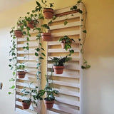 wall mounted plant pot ring 6 Pack 4 Inch Wall Flower Pot Holder Ring Plant Hanger, Metal Planter – Grow It Depot