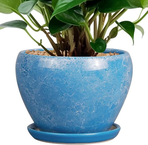 6 inch succulent pots 6 Inch Plant Pot