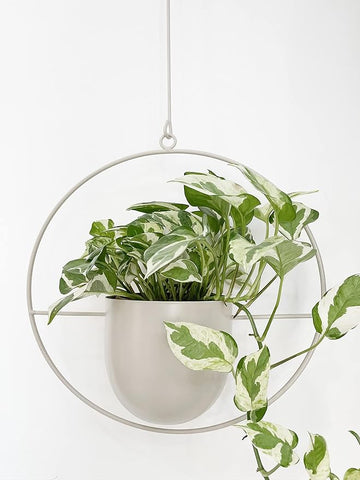 Boho White Metal Plant Hanger,Metal Wall and Ceiling Hanging Planter, –  Grow It Depot